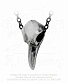 подвес alchemy gothic (алхимия готик) p752 rebenschadel klein