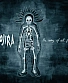 CD Gojira "The Way Of All Flesh"