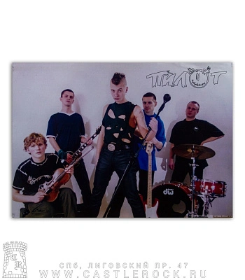 плакат пилот (группа, белый)