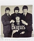 чехол на подушку beatles (ч/б)