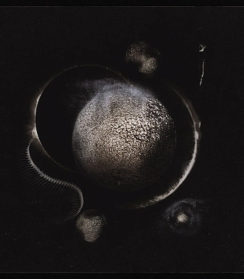 CD Enthroned "Cold Black Suns"