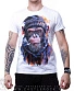 футболка обезьяна в шапке (белая, светится)