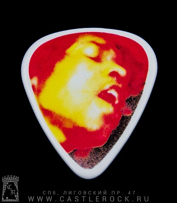 медиатор jimi hendrix "electric ladyland" jhr
