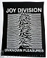 нашивка на спину joy division "unknown pleasures"