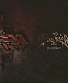 CD Moonsorrow "Verisakeet"