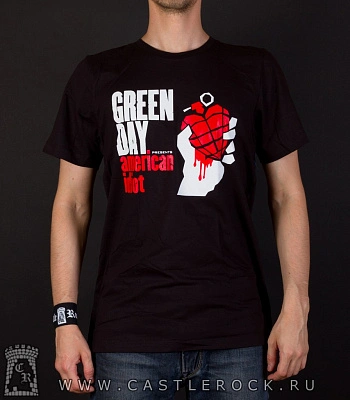 футболка green day "american idiot"