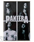 магнит прямоугольный pantera (группа)
