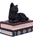 шкатулка кот на книгах