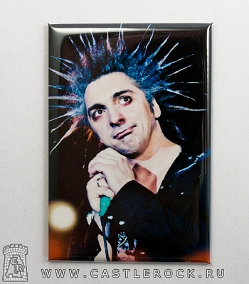 магнит прямоугольный король и шут горшенев