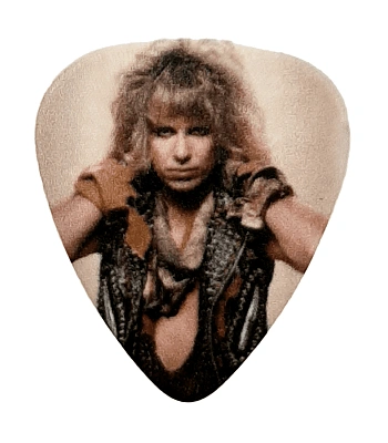 медиатор motley crue vince neil