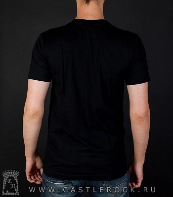 футболка asking alexandria (орел) nts