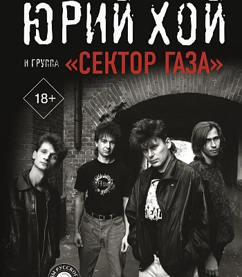 книга "юрий хой и группа "сектор газа" ступников д.