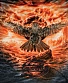 CD Falconer "Black Moon Rising"