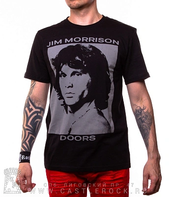 футболка doors jim morrison (принт серый)
