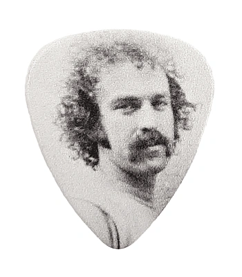 медиатор eagles bernie leadon