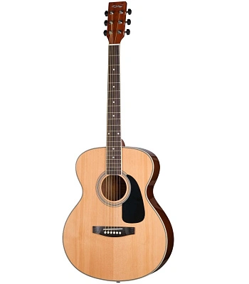 гитара акустическая homage lf-4021n