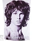 постер тканевый doors jim morrison (ч/б)