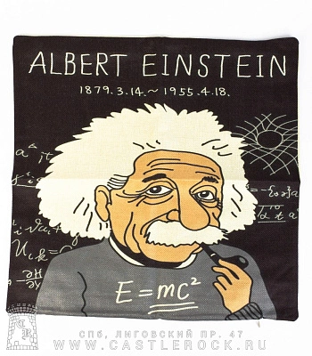 чехол на подушку albert einstein эйнштейн