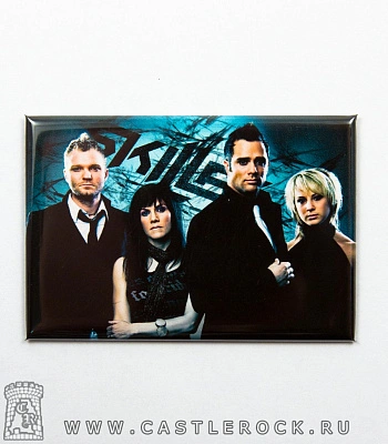 магнит прямоугольный skillet (группа, синий)