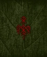 CD Wardruna "Runaljod-Yggdrasil"