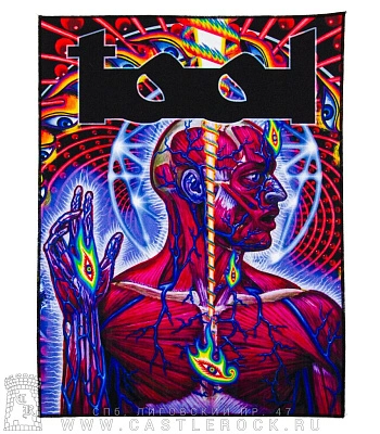 нашивка на спину tool "lateralus"