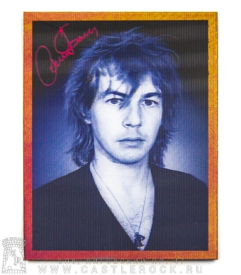 магнит прямоугольный 3d александр башлачев (ч/б, голограмма)