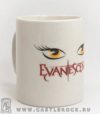 кружка evanescence