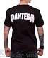 футболка pantera "vulgar display of power" (cowboys from hell)