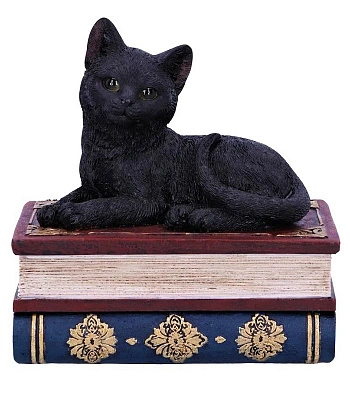 шкатулка кот на книгах