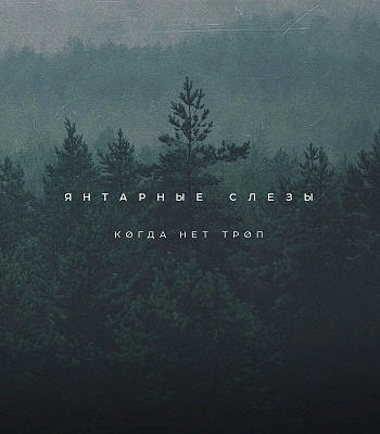 CD Янтарные Слезы "Когда Нет Троп"