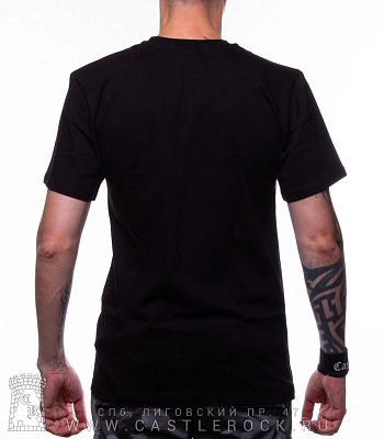 футболка disturbed "evolution" (принт большой)