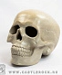 статуэтка череп (большая, белая)