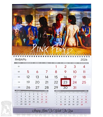 календарь настенный pink floyd (девушки)