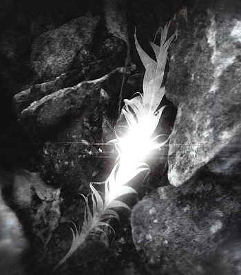 CD Rapture "Silent Stage"