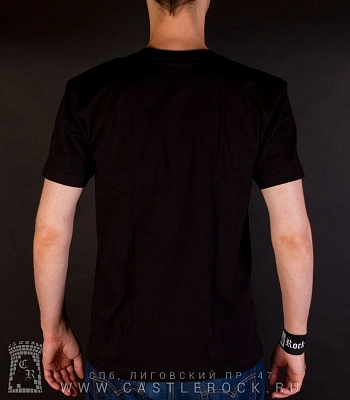 футболка alestorm "no grave but the sea"