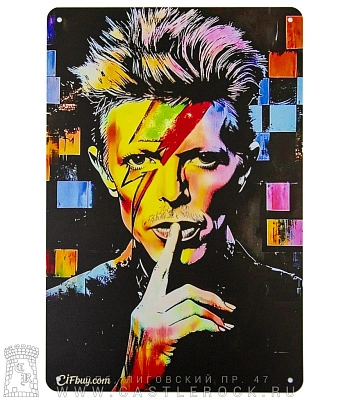 табличка david bowie