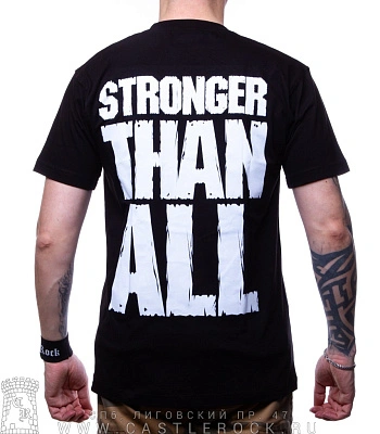 футболка pantera "vulgar display of power. stronger than all"