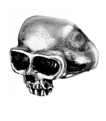 кольцо alchemy gothic (алхимия готик) r6 death