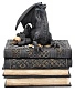 шкатулка дракон на книгах