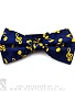 галстук-бабочка ноты желтые (синий)