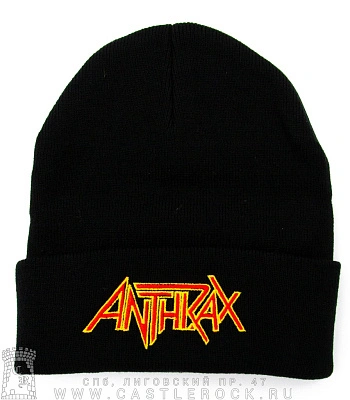шапка с отворотом и вышивкой anthrax
