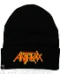 шапка с отворотом и вышивкой anthrax