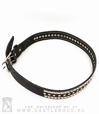 ремень кожаный 3 ряда клепки, пирамиды