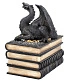 шкатулка дракон на книгах