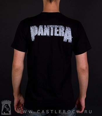 футболка pantera (череп на фоне флага)