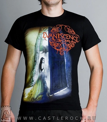 футболка evanescence "the open door"