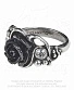 кольцо alchemy gothic (алхимия готик) r223 bacchanal rose