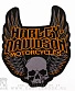 нашивка на спину harley-davidson (череп, вышивка)