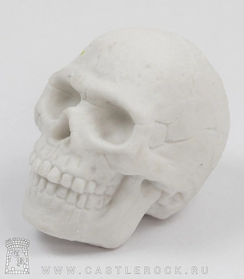 стирательная резинка череп (белая)