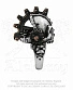кольцо alchemy gothic (алхимия готик) r186 empire steamhead